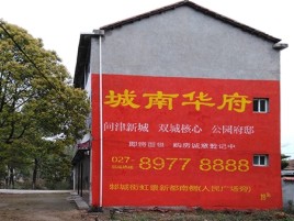 无为百分之90的人都不了解的农村墙体广告