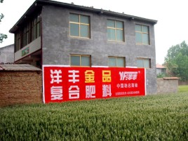 无为如何让墙体广告展现最大化效果