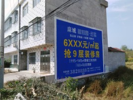 无为墙体广告质量分析