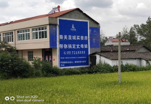 无为决定墙体广告价格的因素有哪些?